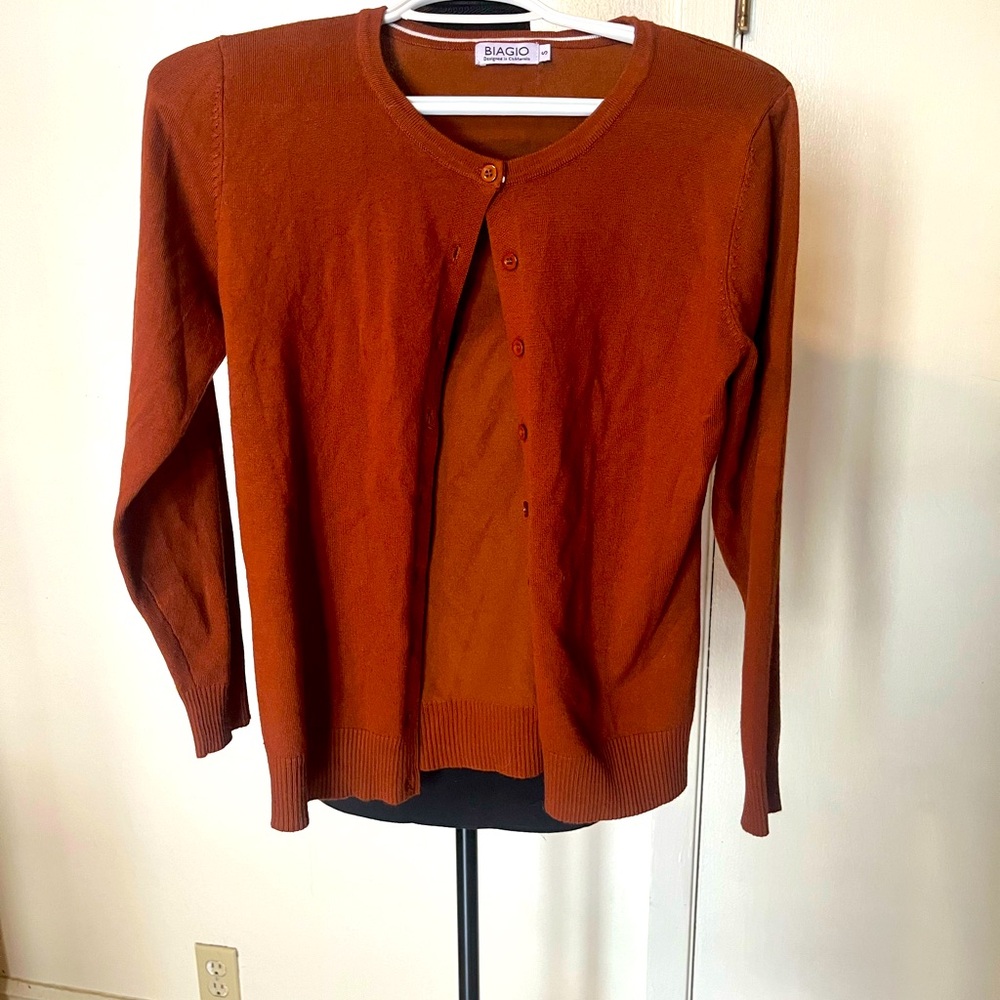 Sienna-colored cardigan, worn once.